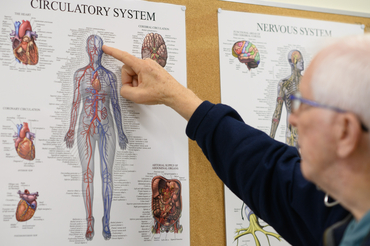 Dr. David Rowed pointing to the brain on a chart