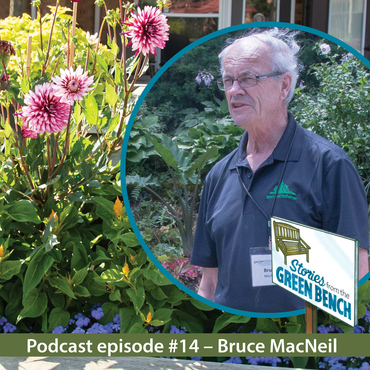 Bruce MacNeil, gardener and volunteer at Winston Park