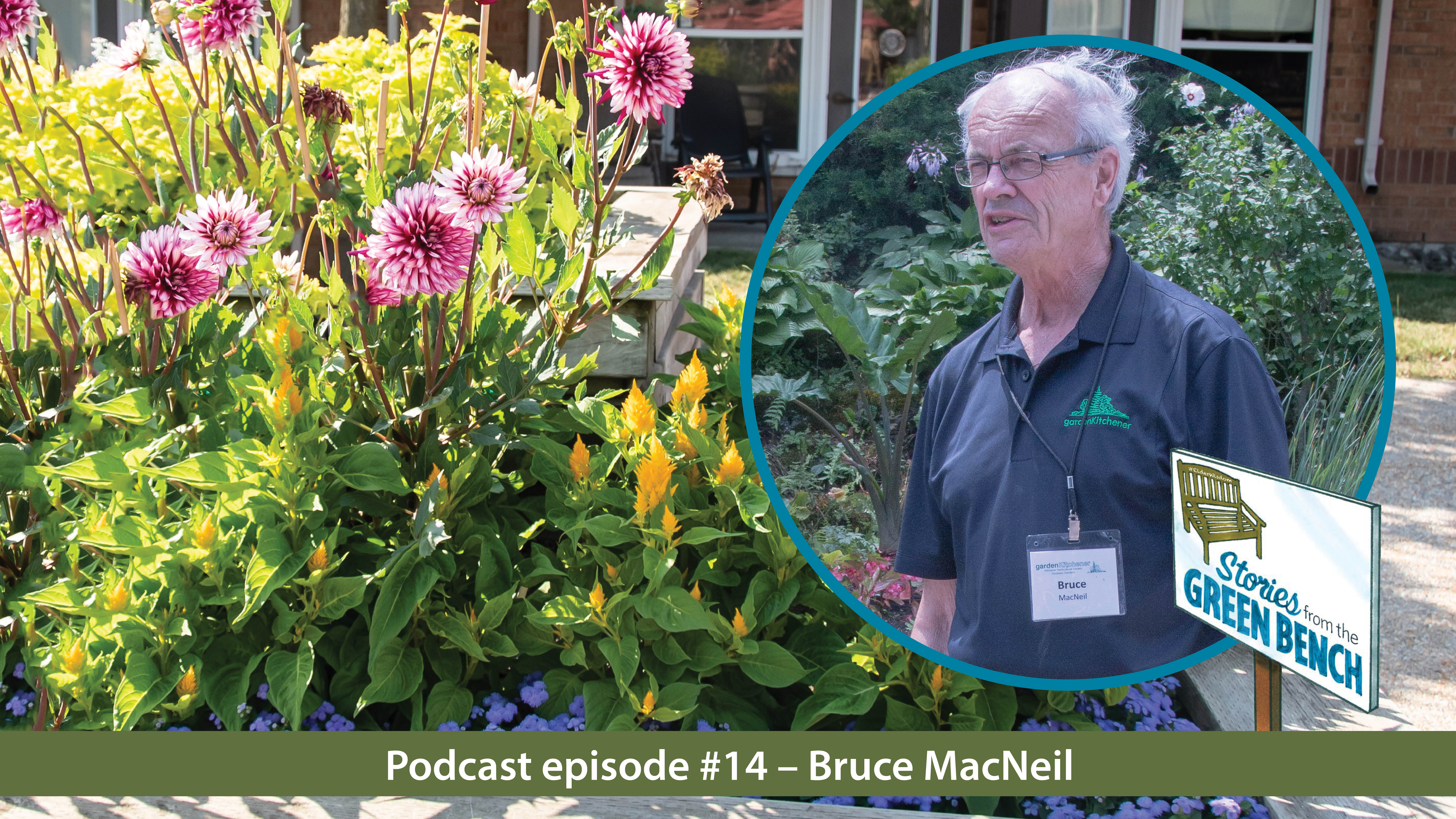 Bruce MacNeil, volunteer and gardener at The Village of Winston Park