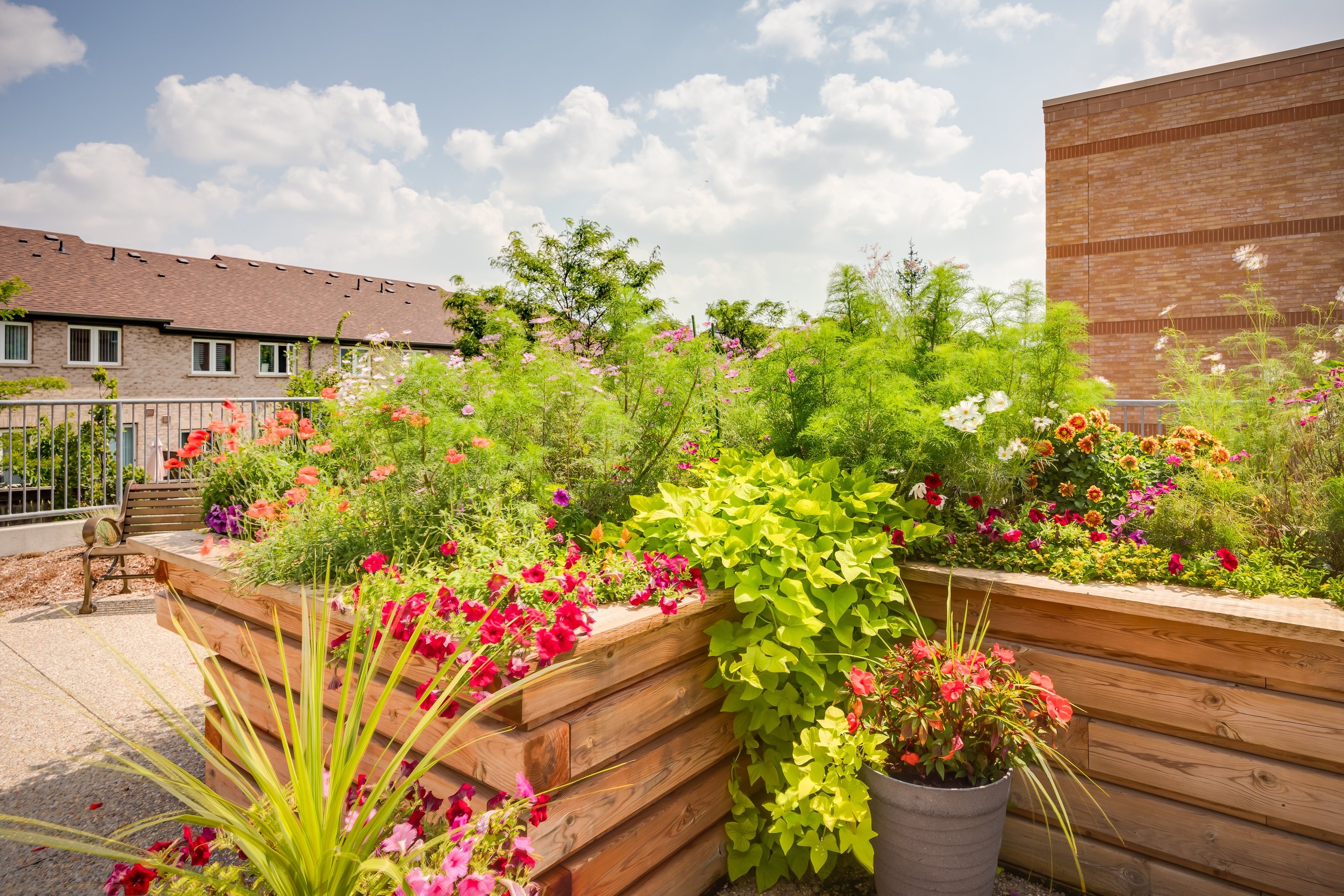 Garden at the Village
